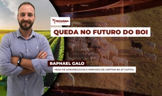 Raphael Galo - Head de Agronegócios e Mercado de Capitais na A7 Capital
