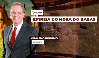 Hermano Henning - Jornalista
