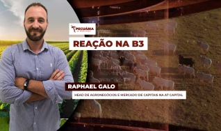 Raphael Galo - Head de Agronegócios e Mercado de Capitais na A7 Capital