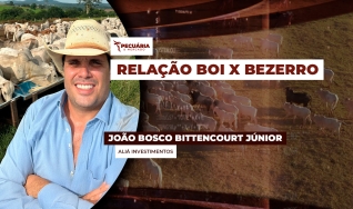 João Bosco Bittencourt Júnior - Aliá Investimentos