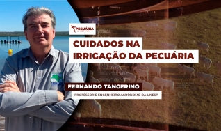 Fernando Tangerino - Professor e Engenheiro da UNESP