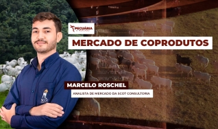 Marcelo Roschel - Analista de Mercado da Scot Consultoria