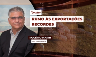 Rogério Marin - CEO da Tek Trade