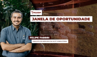 Felipe Fabbri - Analista de Mercado da Scot Consultoria