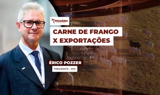 Érico Pozzer - Presidente - APA