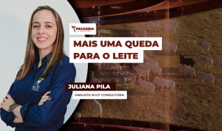 Juliana Pila - Analista Scot Consultoria