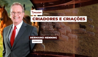 Hermano Henning - Jornalista