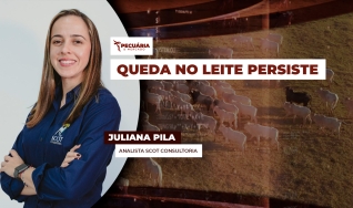 Juliana Pila - Analista Scot Consultoria