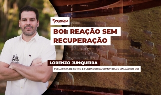 Lorenzo Junqueira - Pecuarista de corte e fundador da comunidade Balcão do Boi