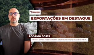 Rodrigo Costa - Analista da PINE Agronegócios e Contribuidor no TC Investimentos