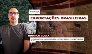 Rodrigo Costa - Analista da PINE Agronegócios e Contribuidor no TC Investimentos