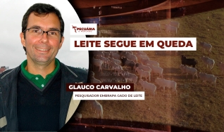 Glauco Carvalho - Pesquisador Embrapa Gado de Leite