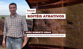 João Roberto Ribas - Diretor-proprietário do Boitel Ribas Agropecuária