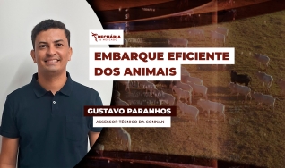 Gustavo Paranhos