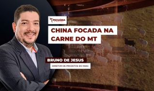Bruno de Jesus - Diretor de Projetos do IMAC