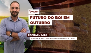 Raphael Galo - Head de Agronegócios e Mercado de Capitais na A7 Capital
