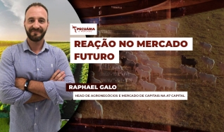 Raphael Galo - Head de Agronegócios e Mercado de Capitais na A7 Capital