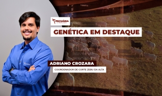 Adriano Crozara - Coordenador de Corte Zebu da Alta
