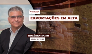 Rogério Marin - CEO da Tek Trade