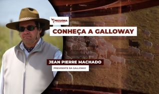 Jean Pierre Machado - Presidente da Galloway
