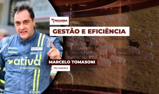 Marcelo Tomasoni - Pecuarista