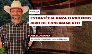 Marcelo Sousa - Especialista em lucro com engorda de bovinos
