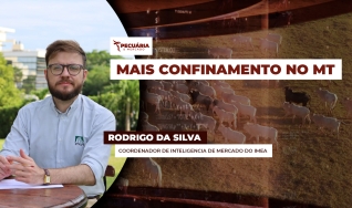 Rodrigo da Silva - Coordenador de Inteligencia de Mercado do IMEA