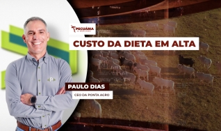 Paulo Dias - CEO da Ponta Agro