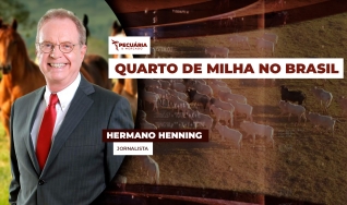 Hermano Henning - Jornalista
