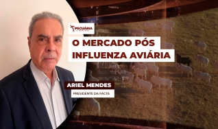 Ariel Mendes - Presidente da Facta