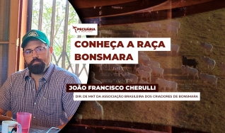 João Francisco Cherulli - Dir. de MKT da Associação Brasileira dos Criadores de Bonsmara