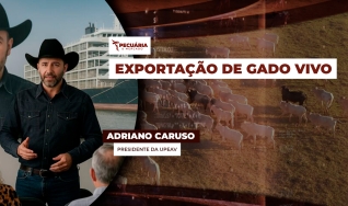 Adriano Caruso - Presidente da UPEAV