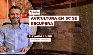 Alexandre Giehl - Analista da Epagri/Cepa