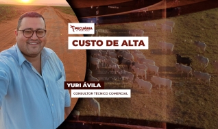 Yuri Ávila