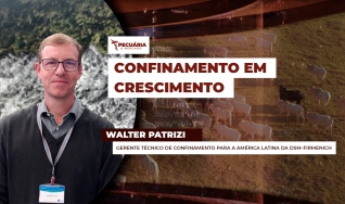 Walter Patrizi - Gerente técnico de confinamento para a América Latina da DSM-firmenich
