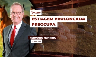 Hermano Henning - Jornalista