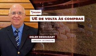 Osler Desouzart - Consultor - OD Consulting