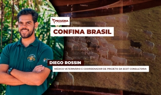 Diego Rossin - Médico-veterinário e Coordenador de projeto da Scot Consultoria