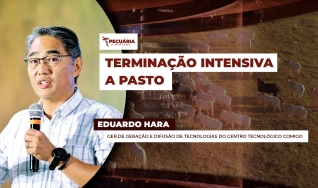 Eduardo Hara - Ger.de Geração e Difusão de Tecnologias do Centro Tecnológico COMIGO