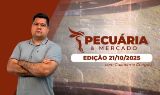Pecuária e Mercado - Programa Completo