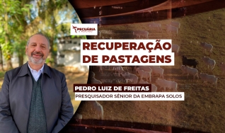 Pedro Luiz de Freitas - Presquisador Sênior da Embrapa Solos
