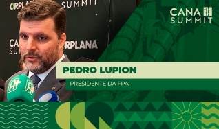 Pedro Lupion