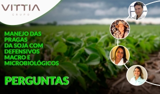 Confira as perguntas do evento: Manejo das pragas da soja com defensivos macro e microbiológicos do Grupo Vittia