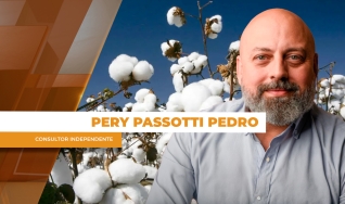 Pery Passotti Pedro - Consultor Independente