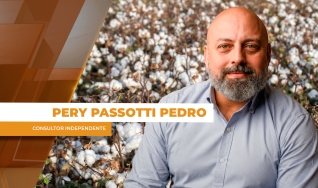 Pery Passotti Pedro - Consultor Independente