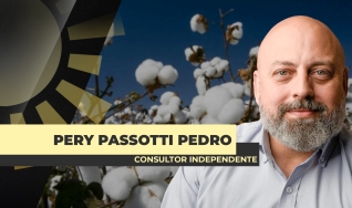 Pery Passotti Pedro - Consultor Independente