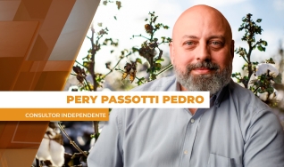 Pery Passotti Pedro - Consultor Independente