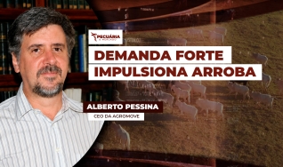 Alberto Pessina - CEO da Agromove