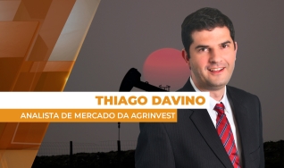 Thiago Davino - Analista de Mercado da Agrinvest