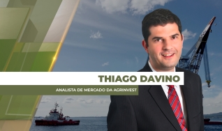 Thiago Davino - Analista de Mercado da Agrinvest